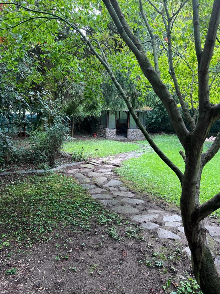 Photo 19
