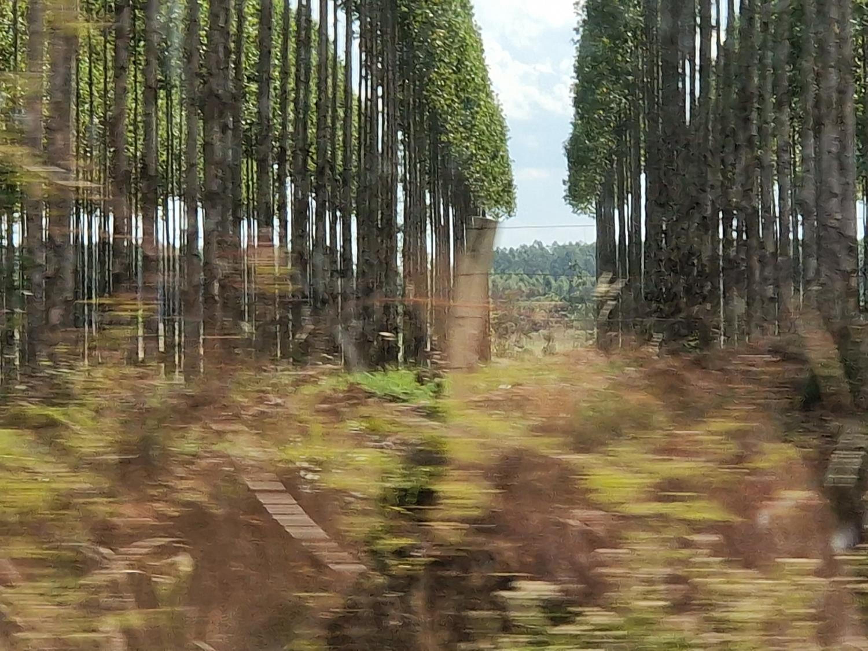 Photo 30