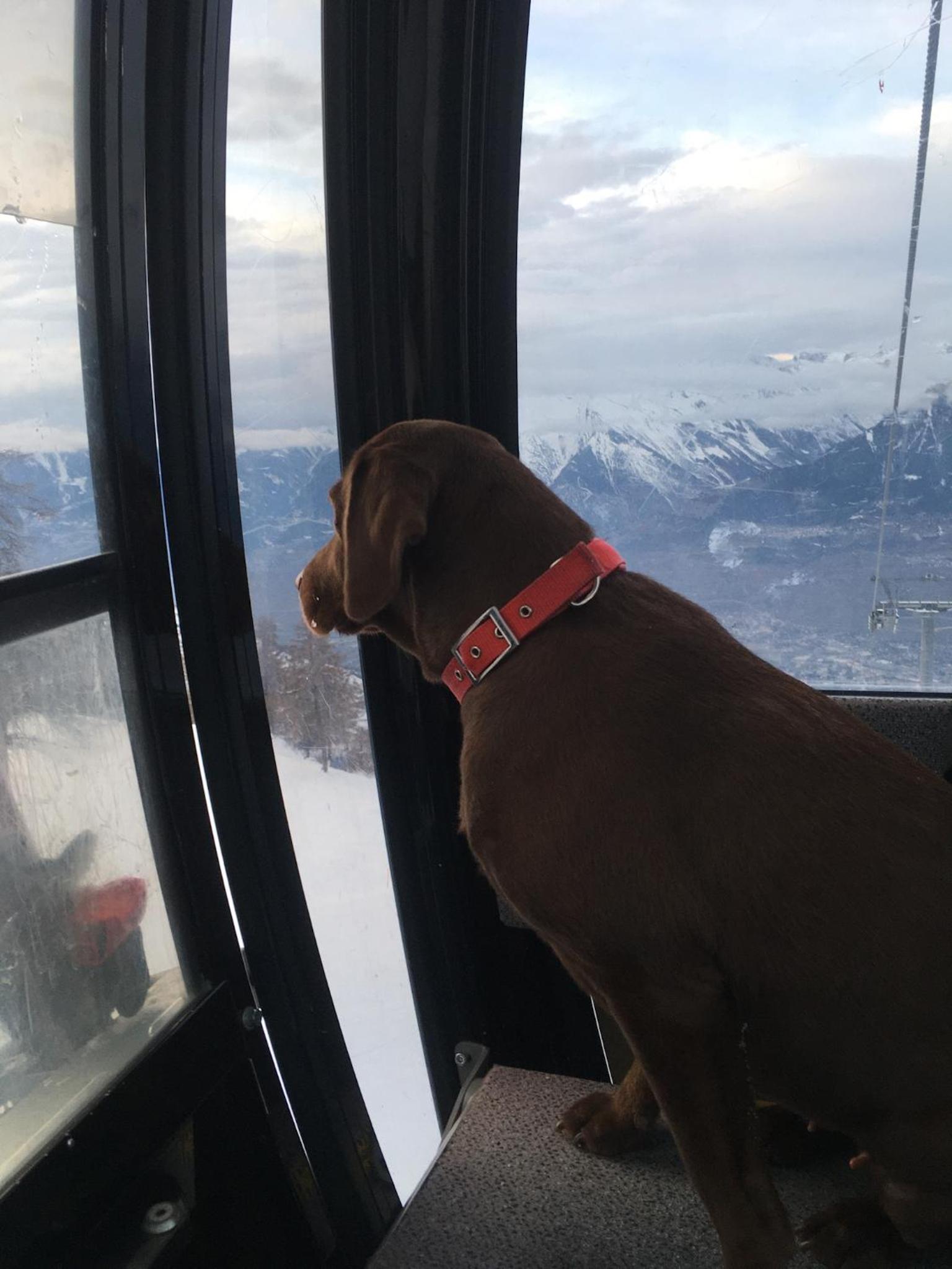 Chalet Alpin suisse