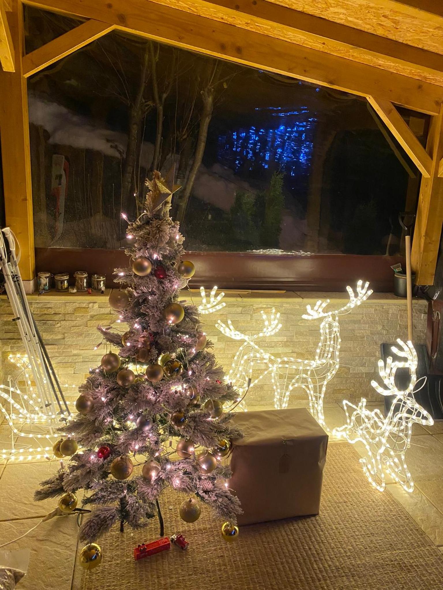 Chalet Alpin suisse