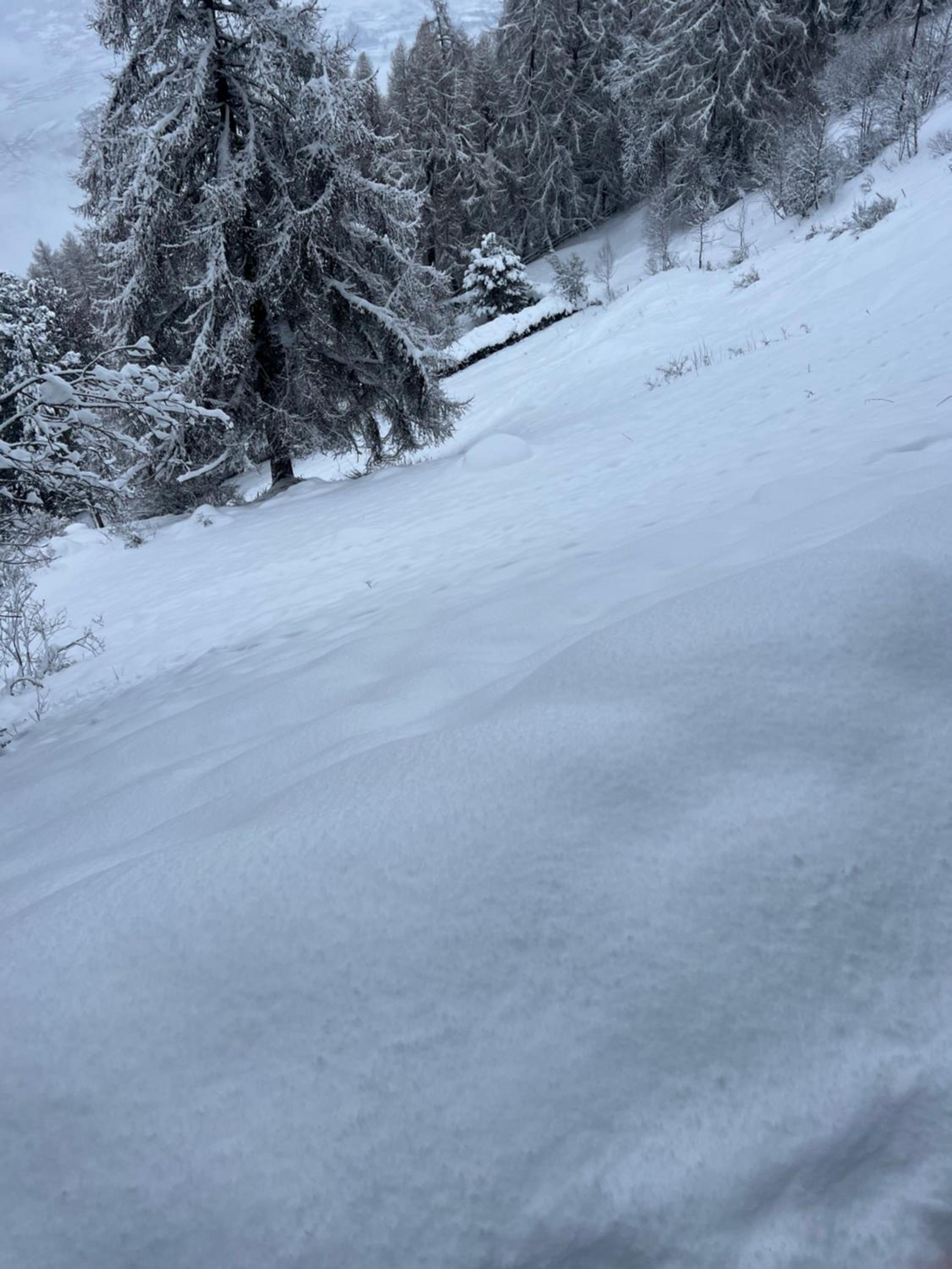 Chalet Alpin suisse