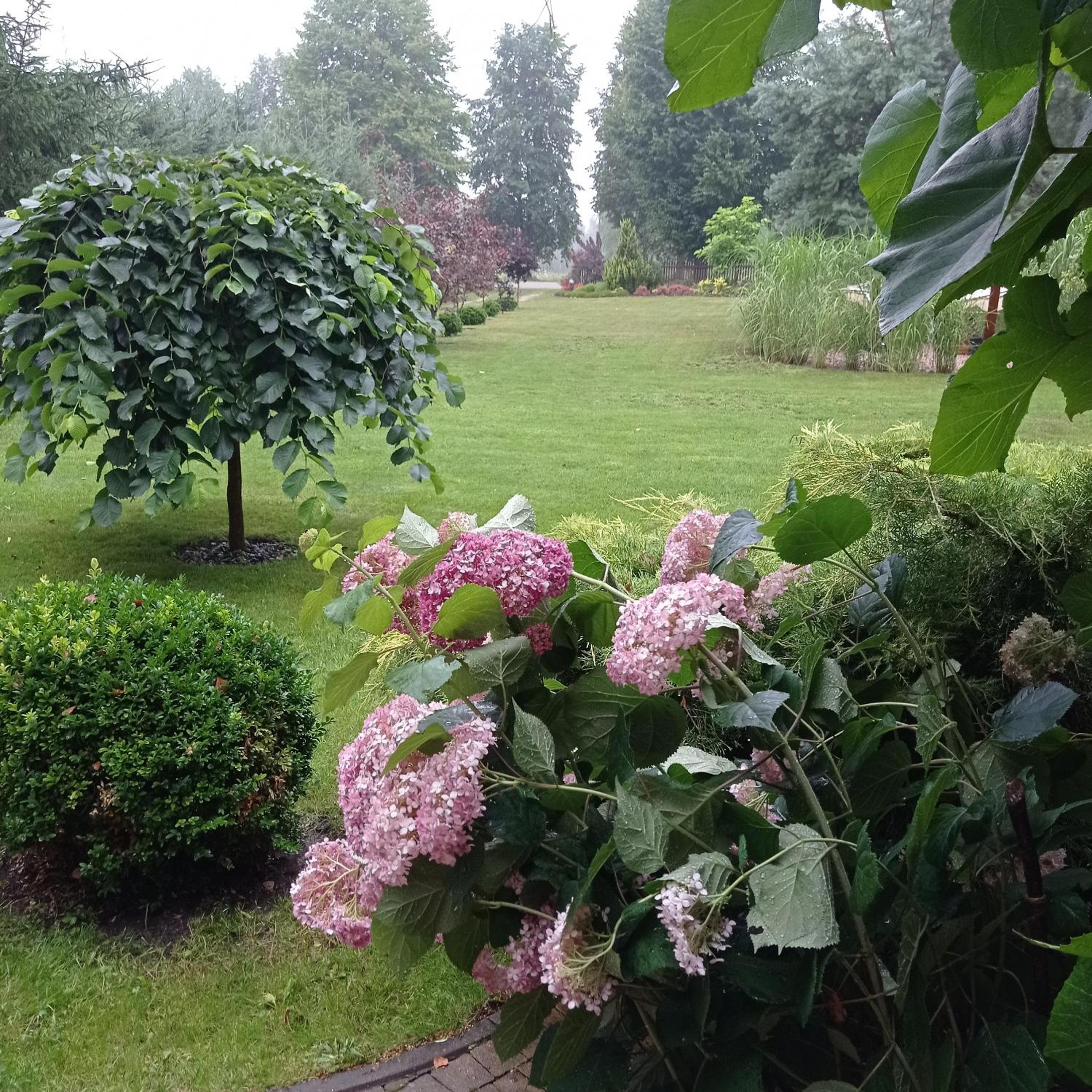 Photo 44