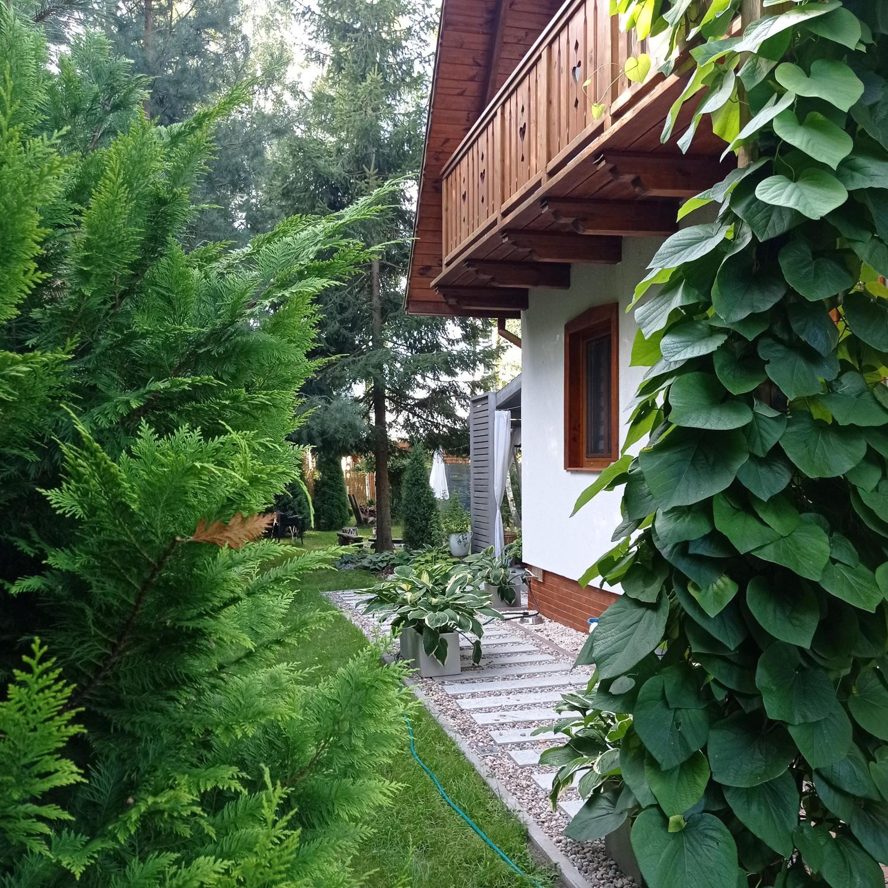 Photo 43
