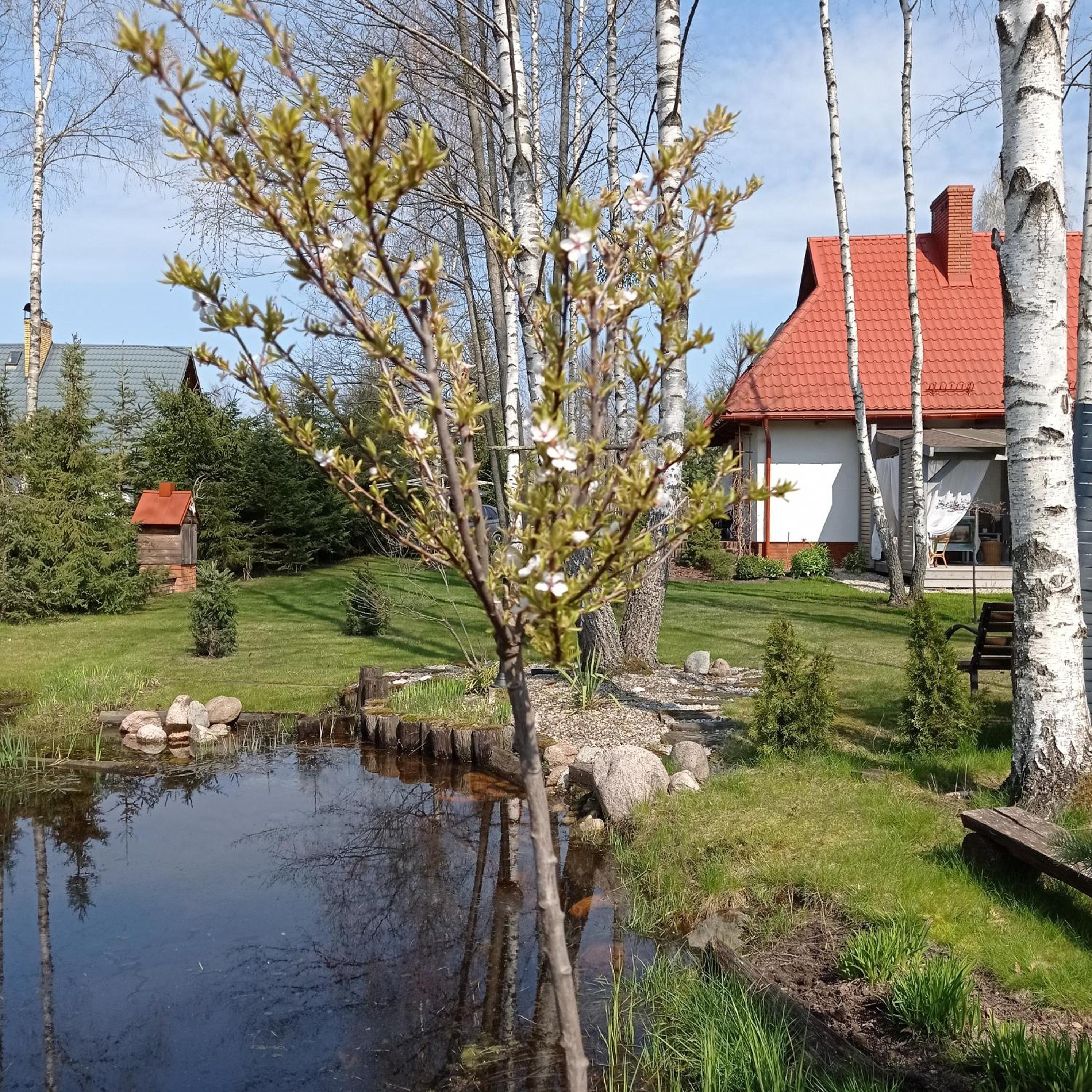 Photo 46