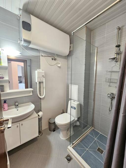 Bansko Private VIP Apartment