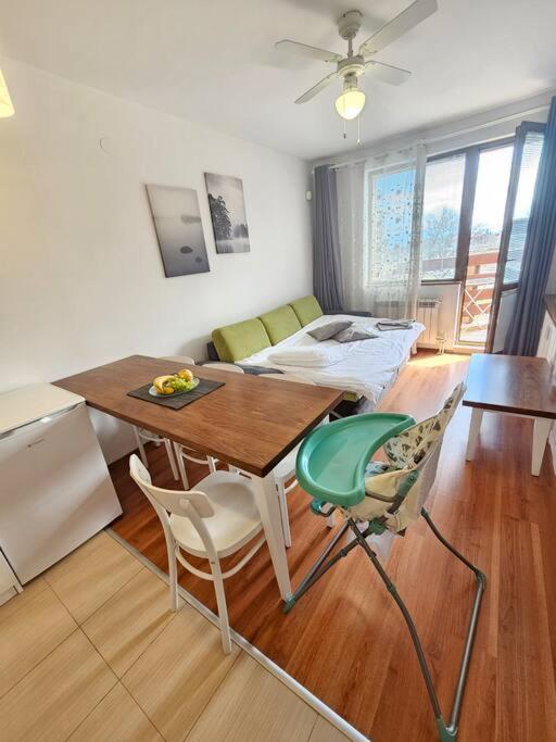 Bansko Private VIP Apartment