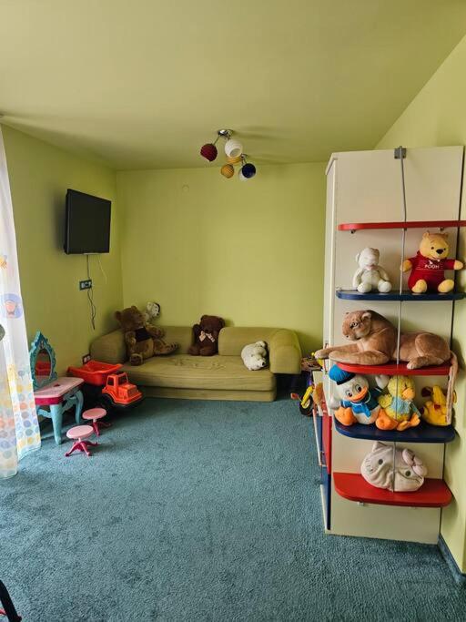 Bansko Private VIP Apartment