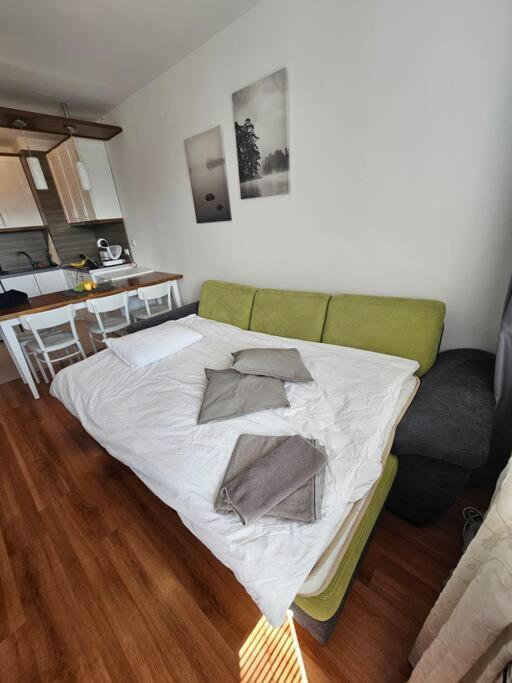 Bansko Private VIP Apartment