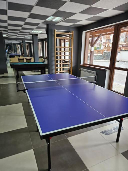 Bansko Private VIP Apartment