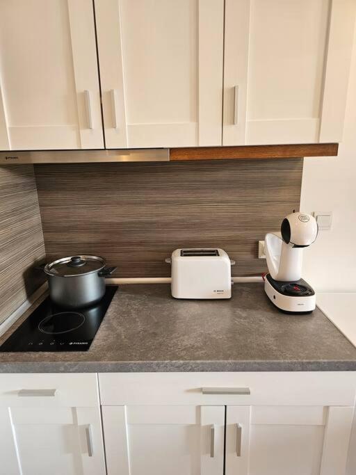 Bansko Private VIP Apartment
