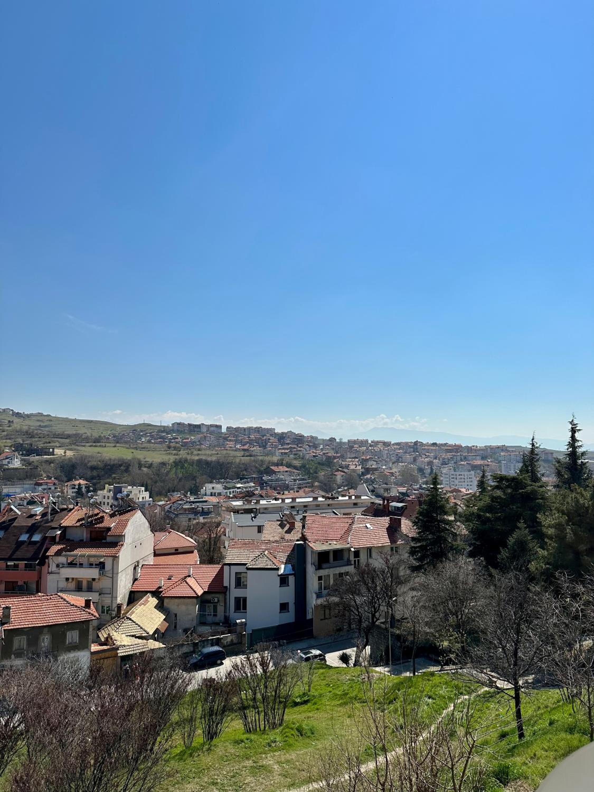 The View