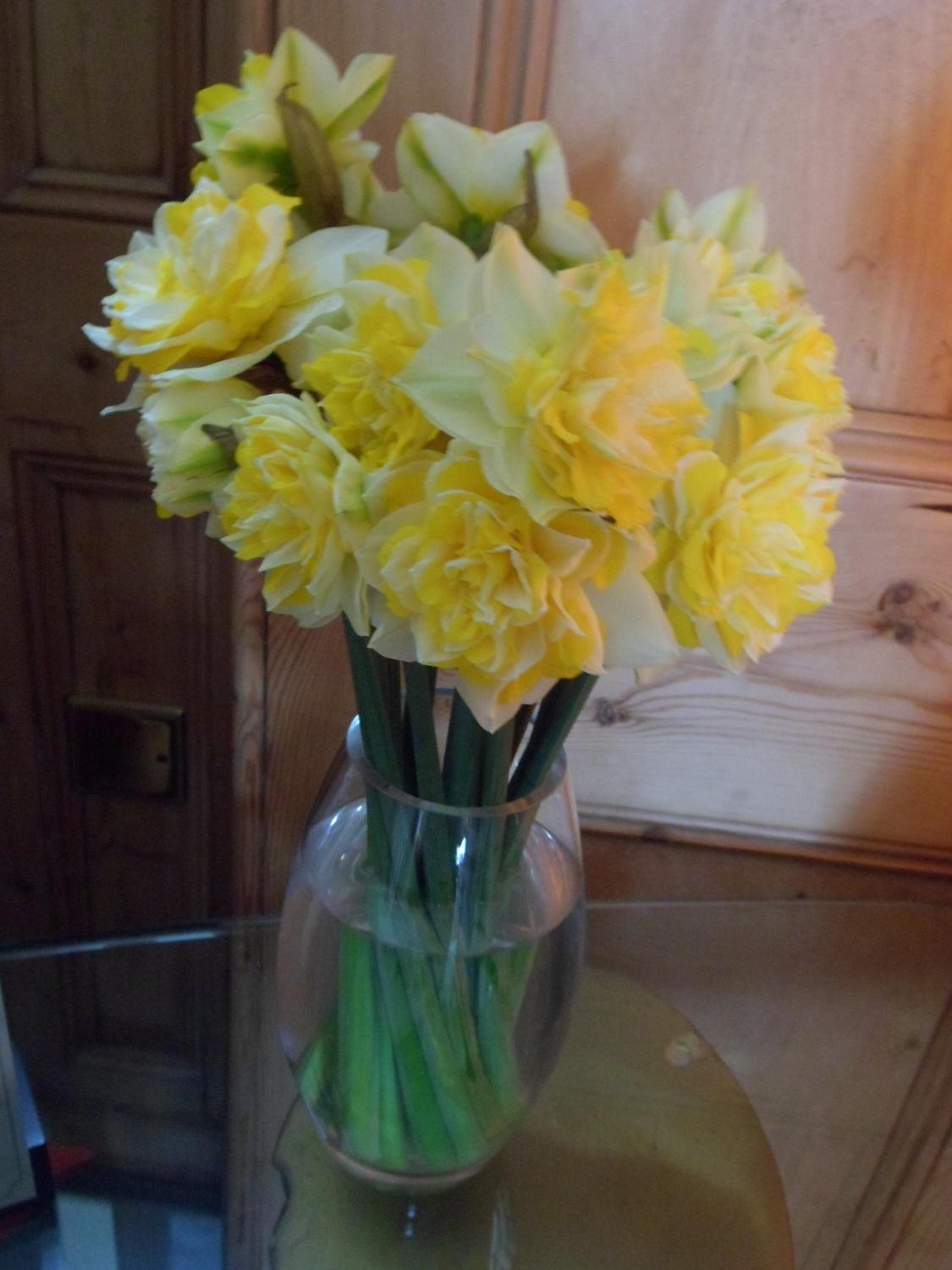 Photo 24