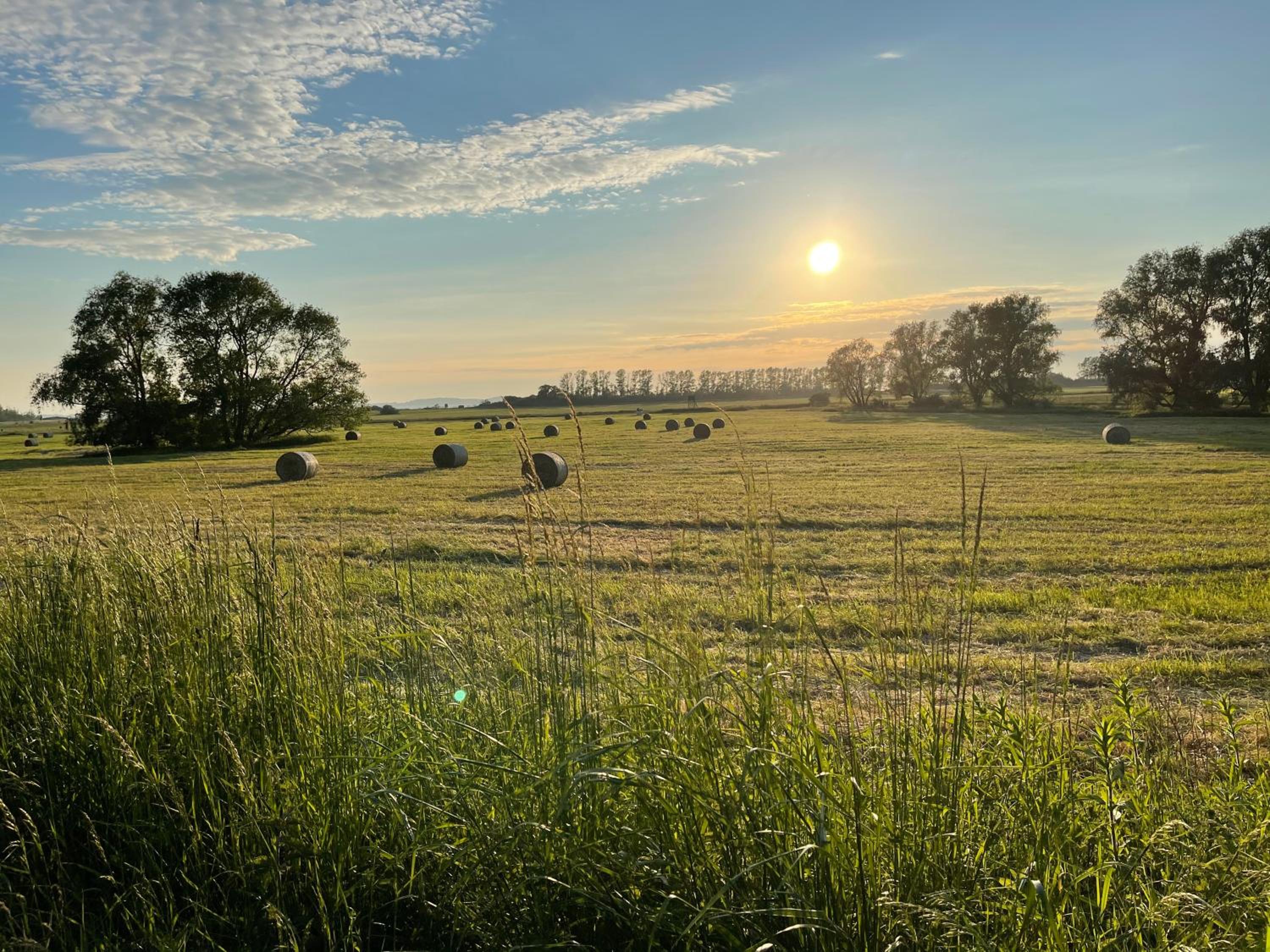 Ferienwohnungen auf Rügen bei Schramm & Rolinski