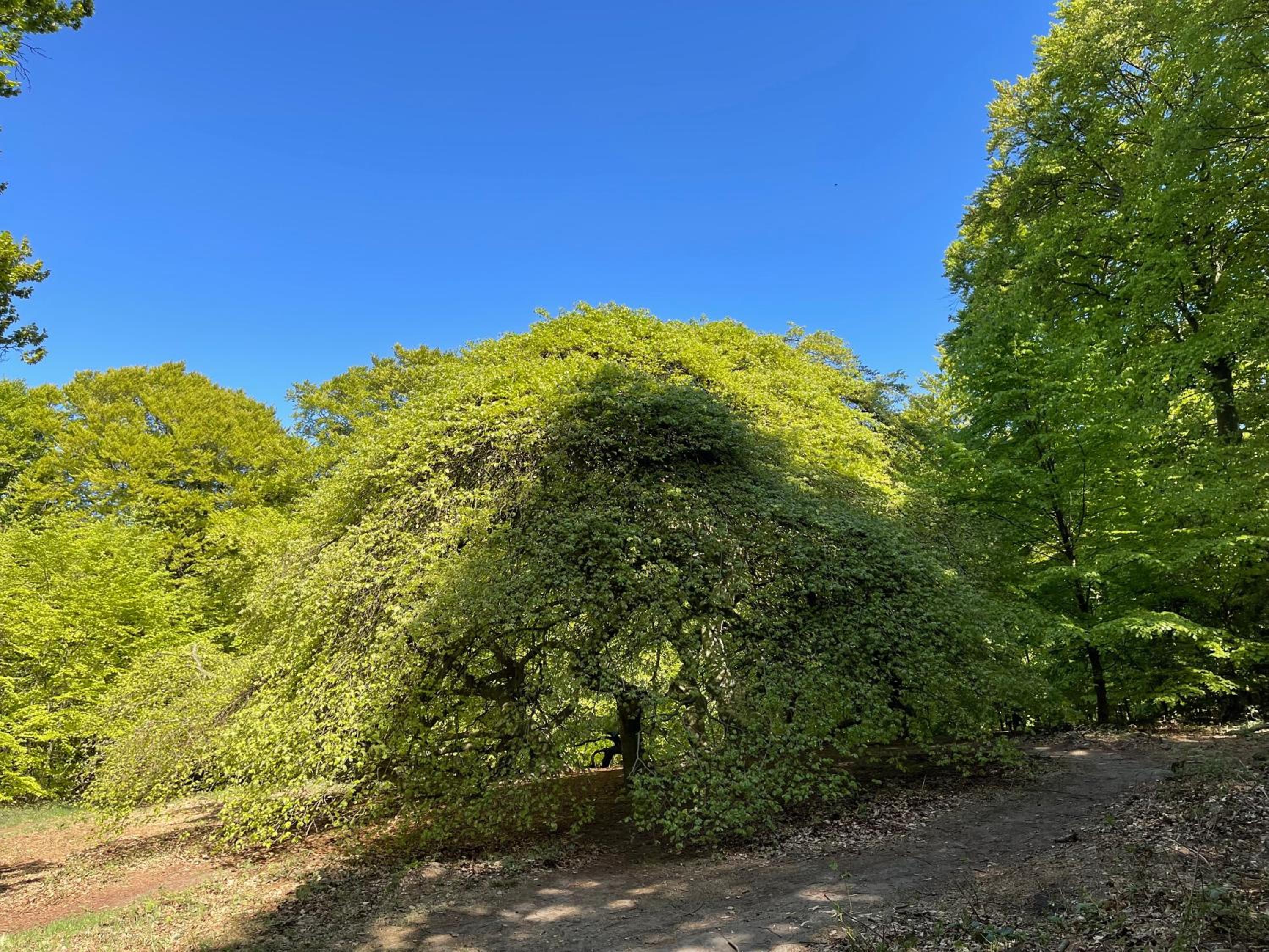Ferienwohnungen auf Rügen bei Schramm & Rolinski
