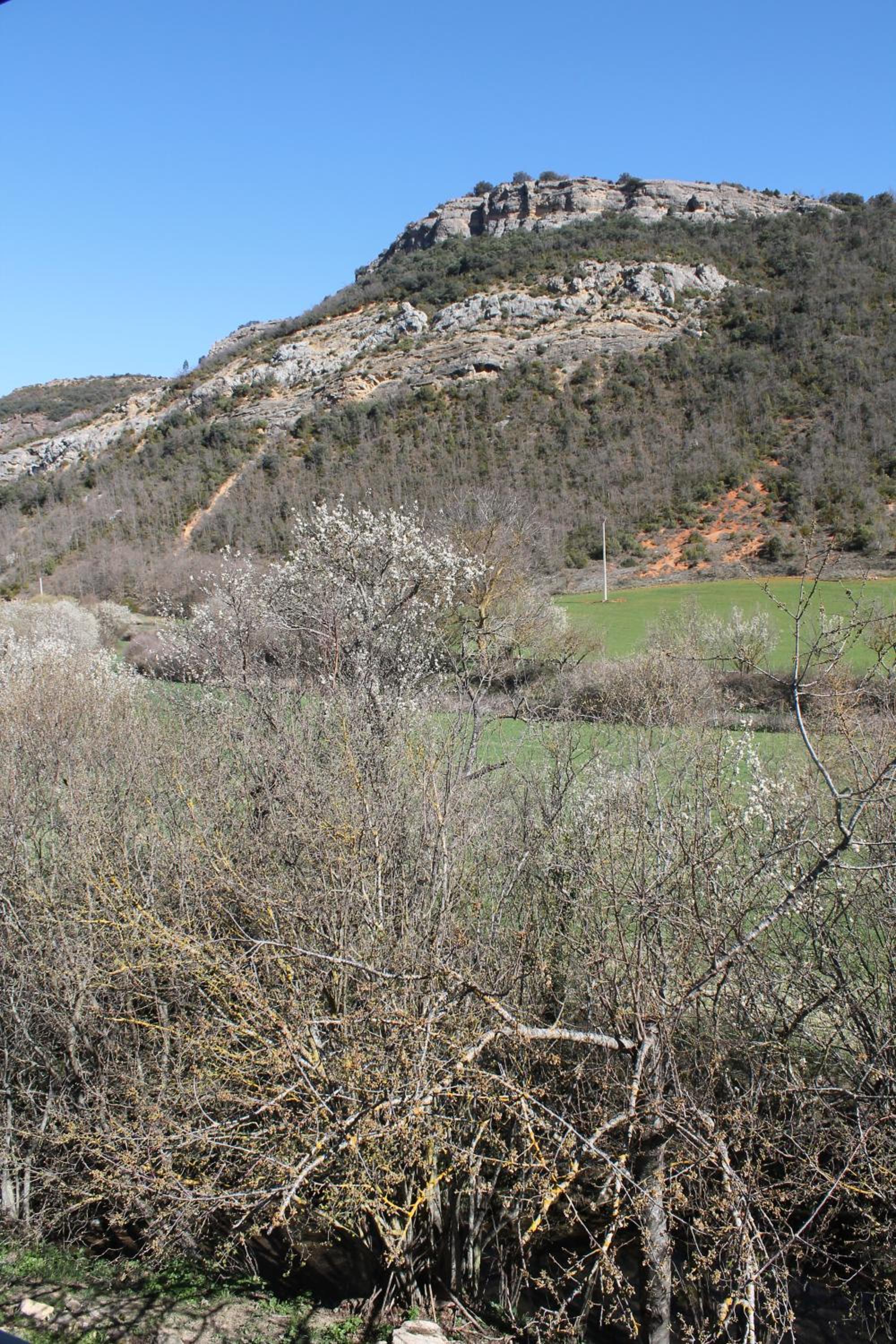 Hotel Rural Rio Molinar