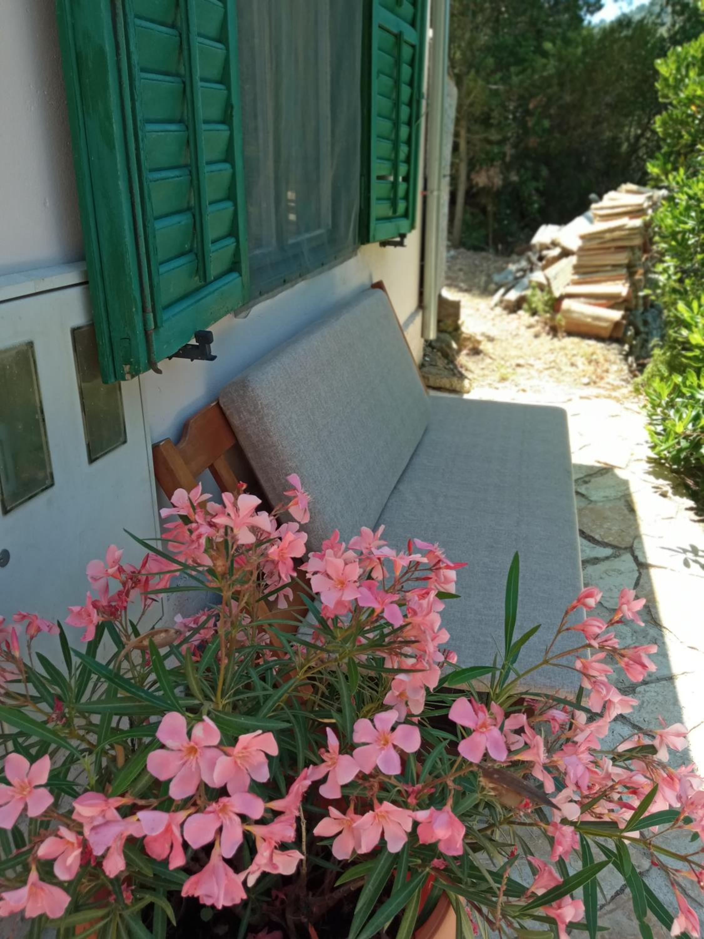 A tiny sea home in the wilderness view 5