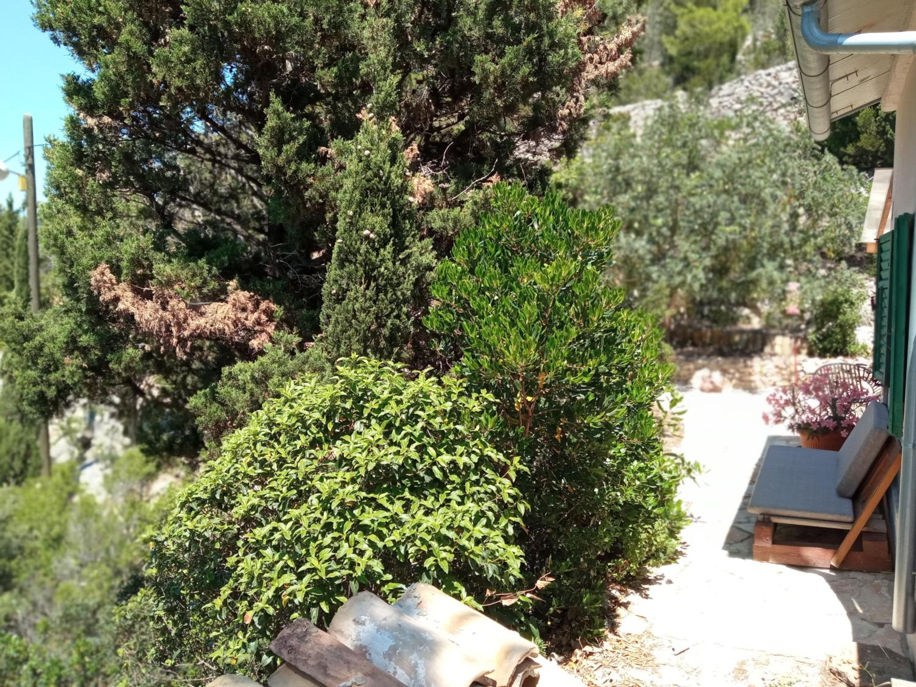 Photo 51