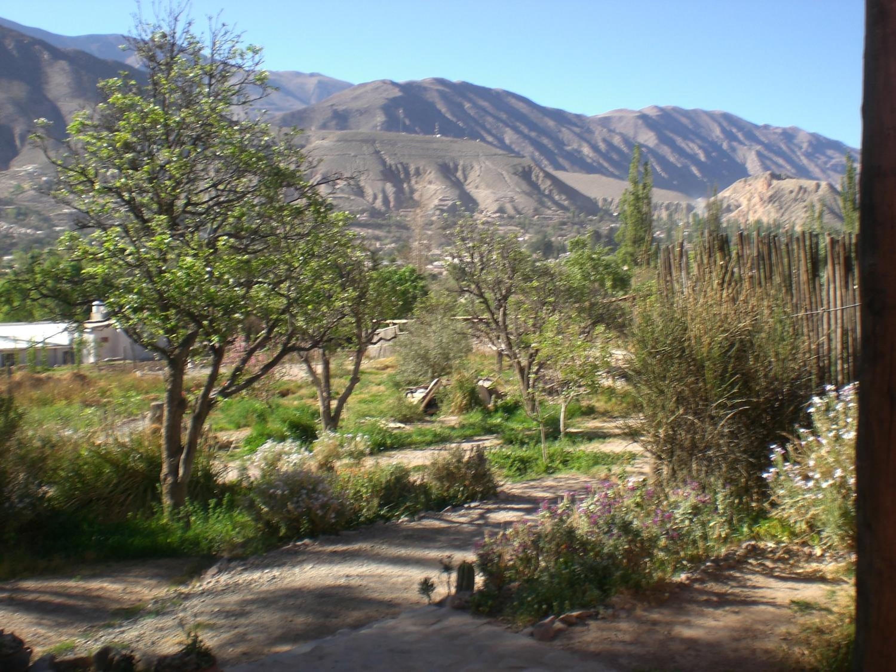 La Calabaza Cabaña
