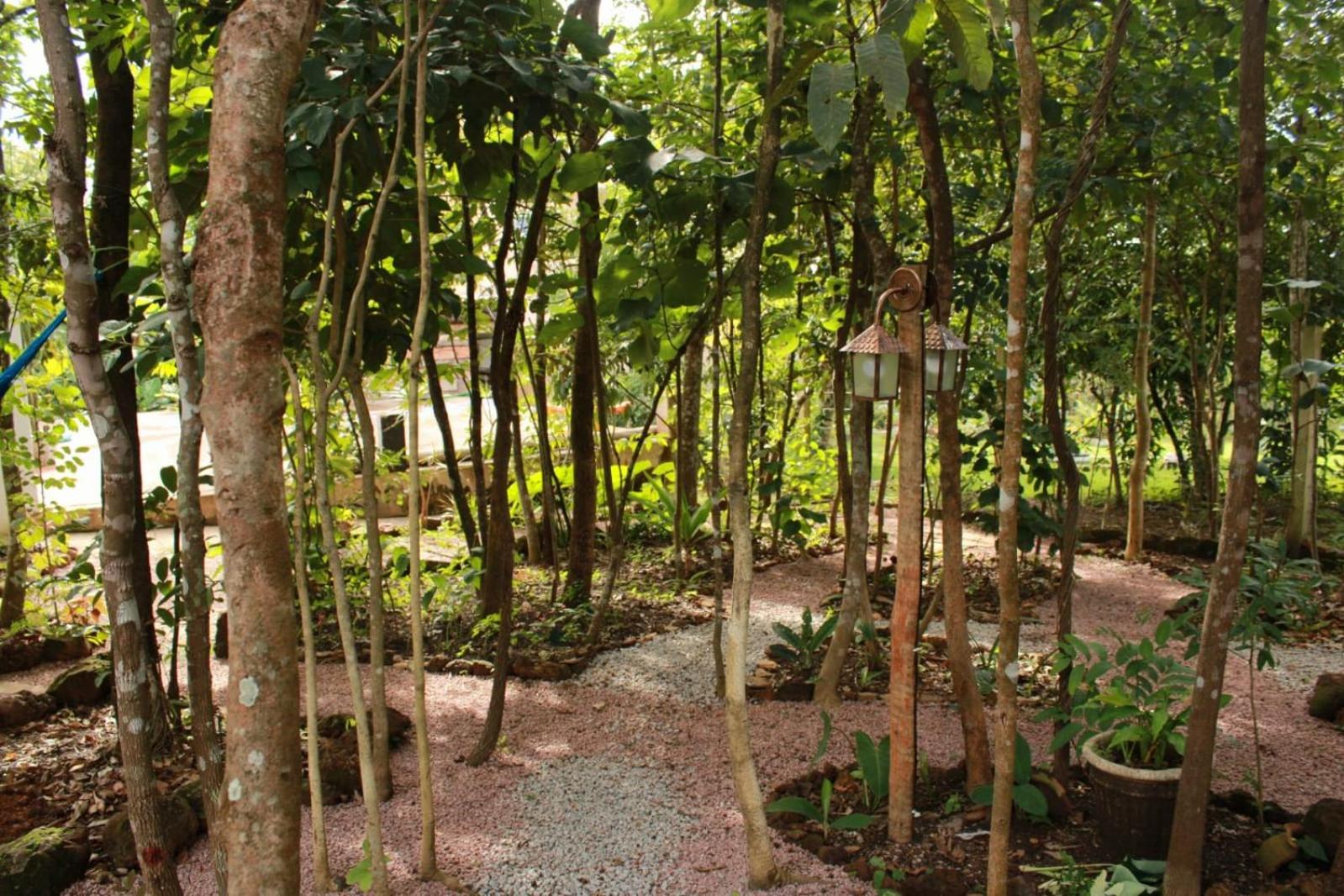 Espaço Aricá