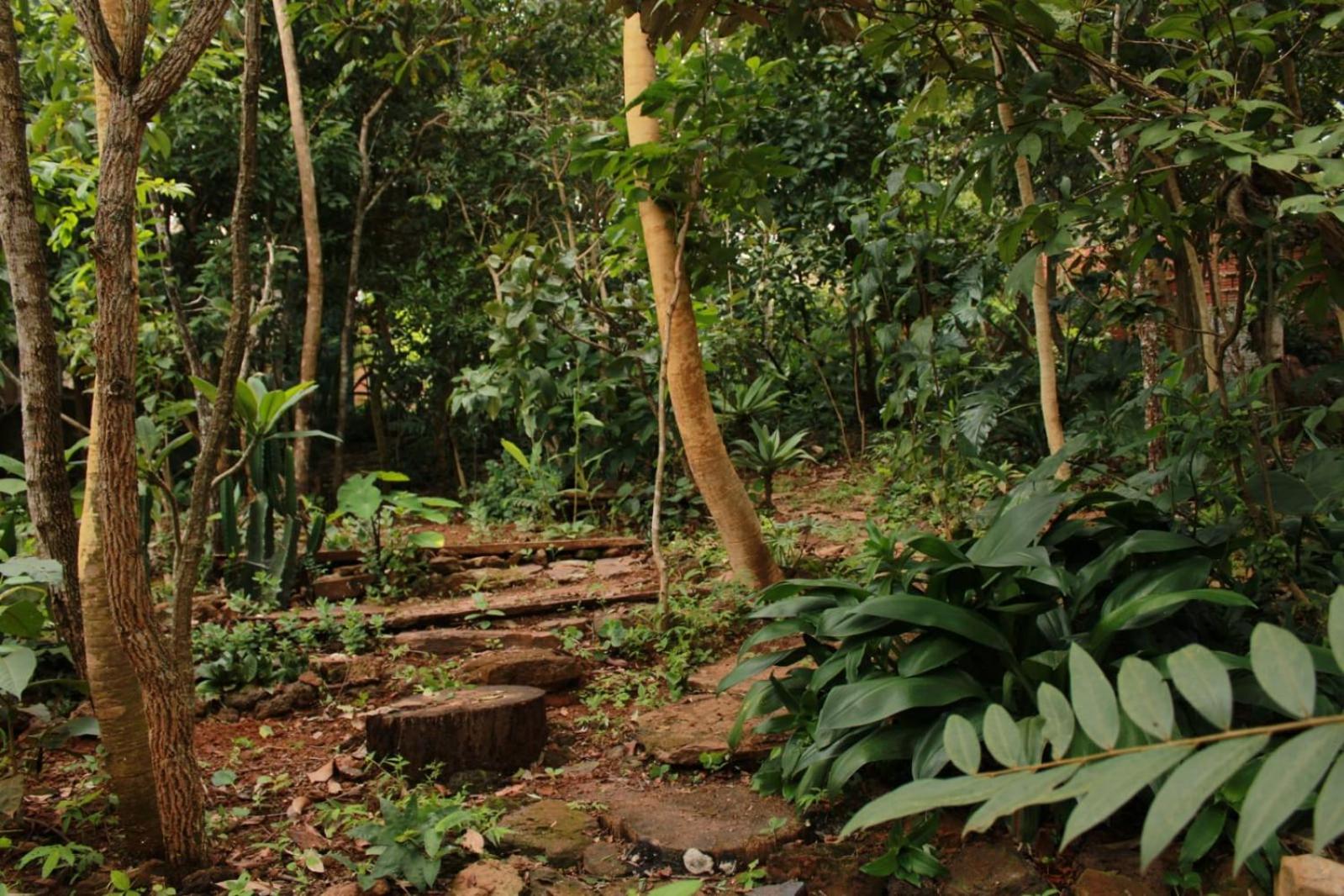 Espaço Aricá