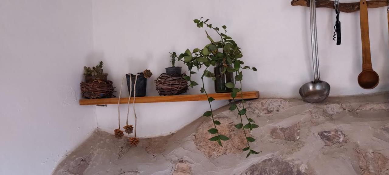 La Calabaza Cabaña