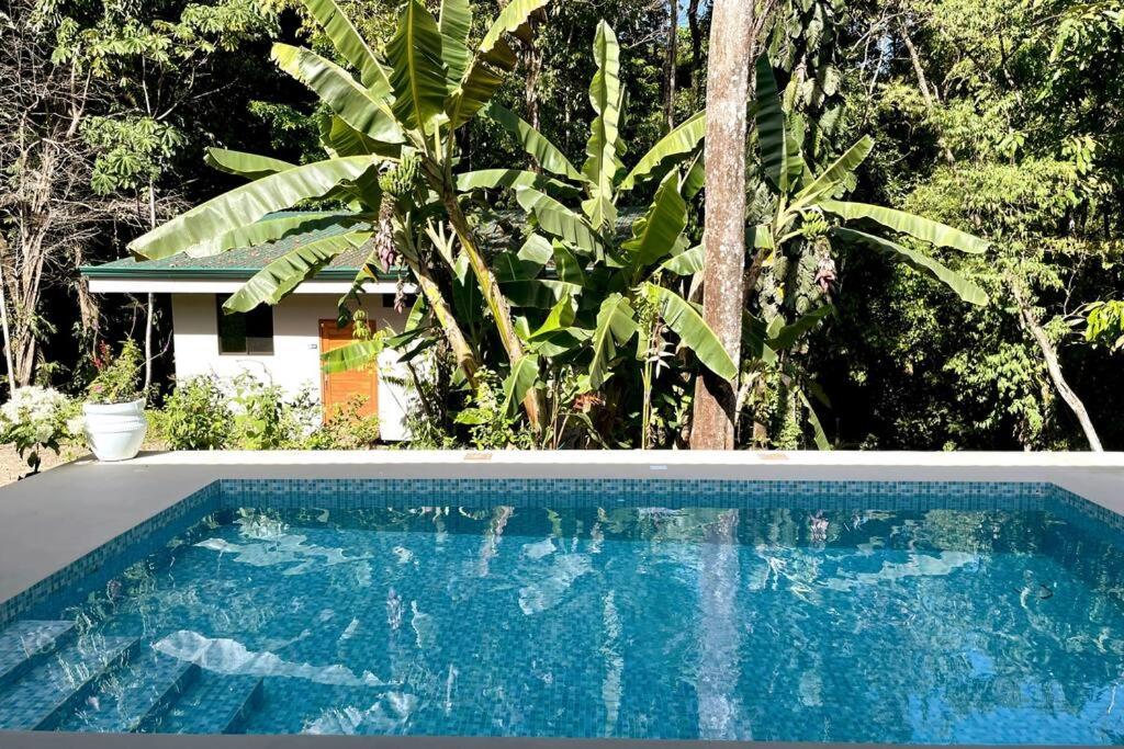 An abundance of wildlife at Jungle Glory Home Abajo
