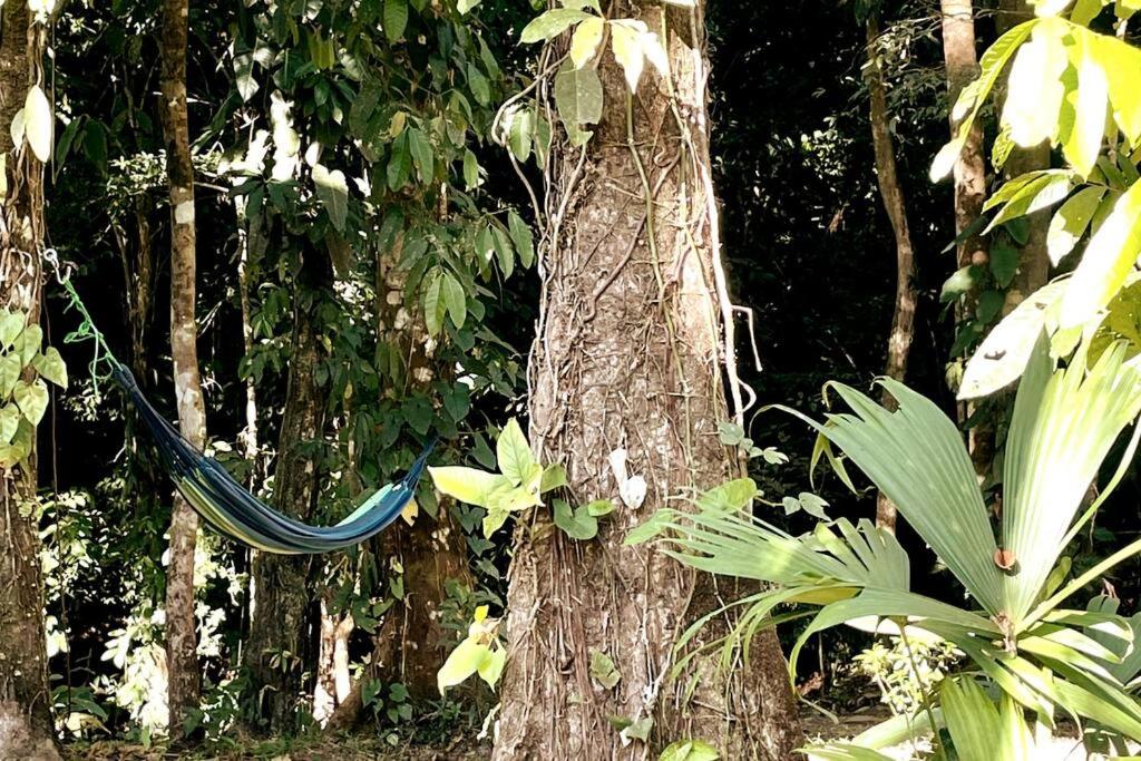 An abundance of wildlife at Jungle Glory Home Abajo