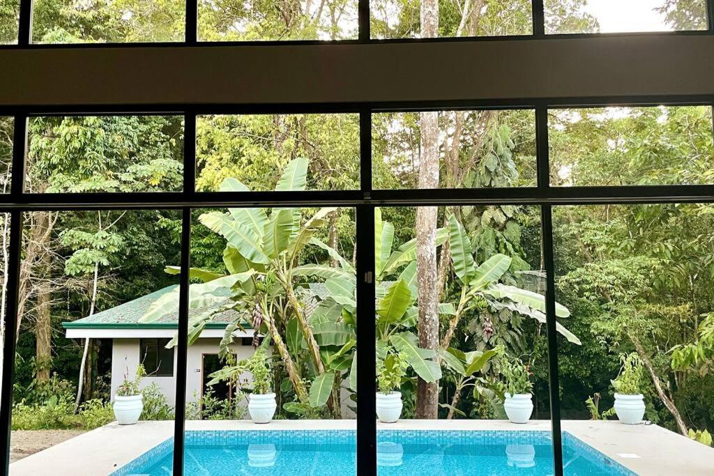 An abundance of wildlife at Jungle Glory Home Abajo