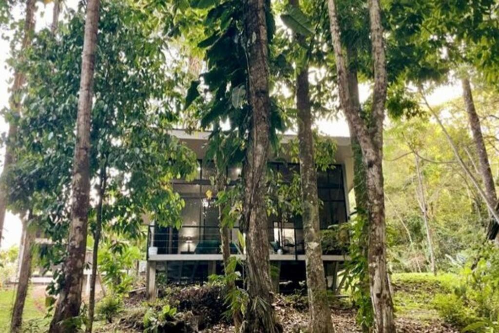 An abundance of wildlife at Jungle Glory Home Abajo