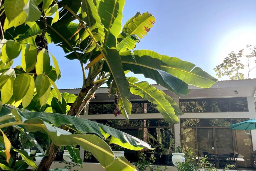 An abundance of wildlife at Jungle Glory Home Abajo