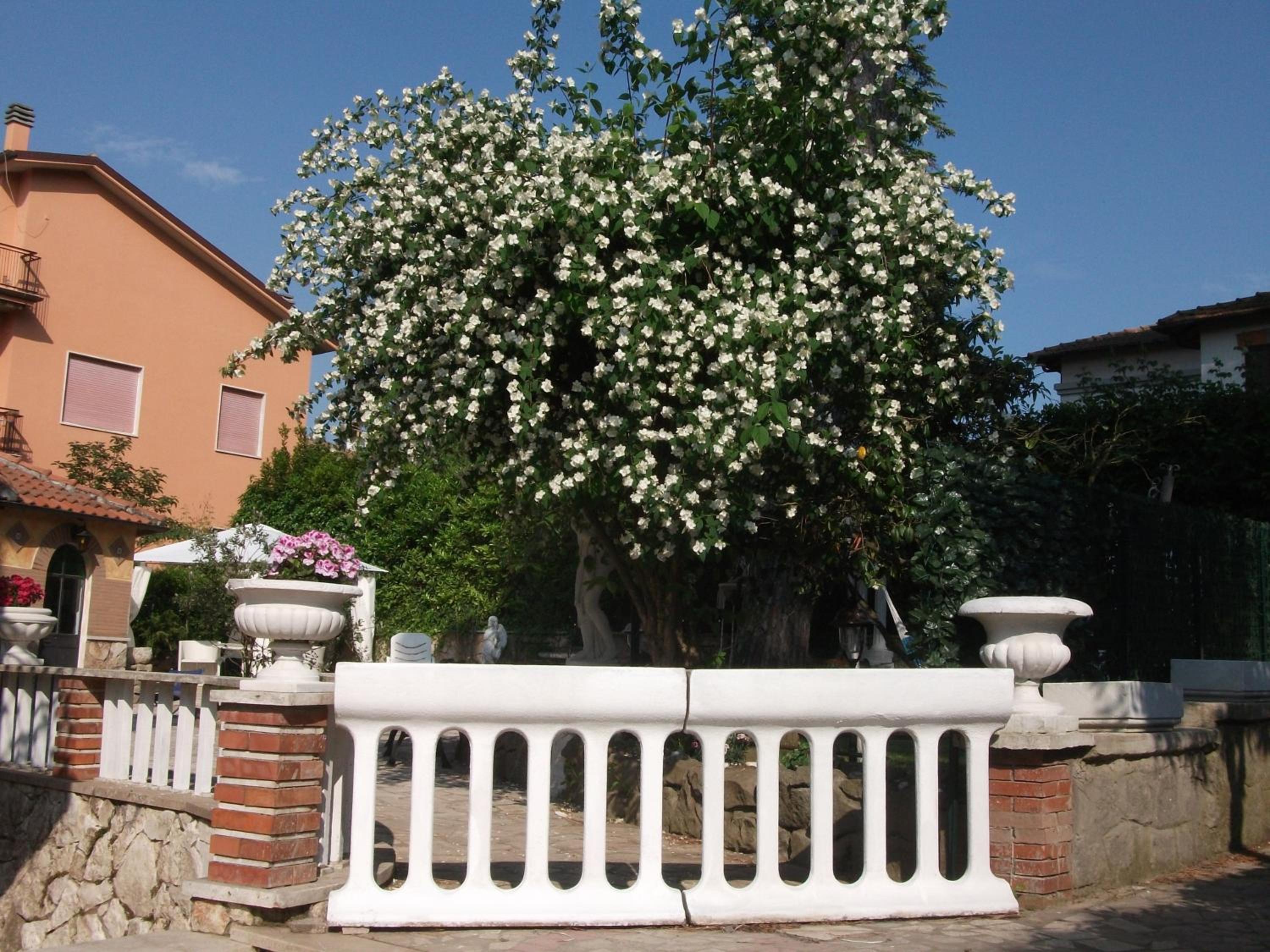 Photo 13