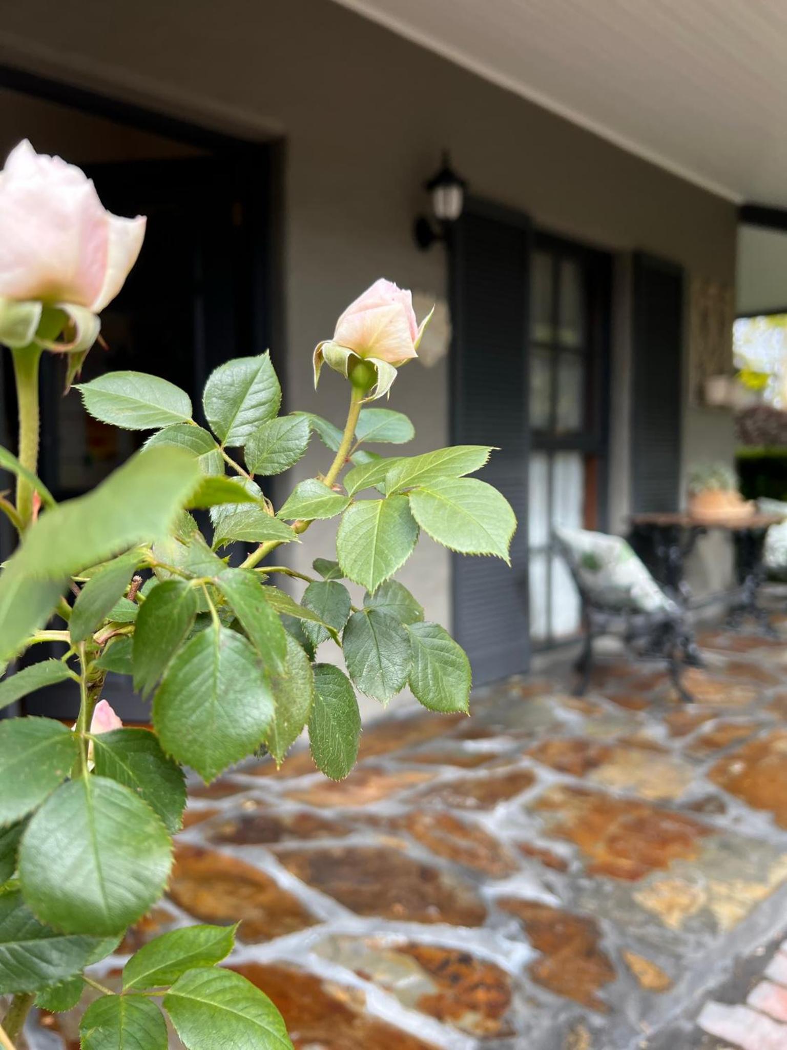 Gracehill Accommodation
