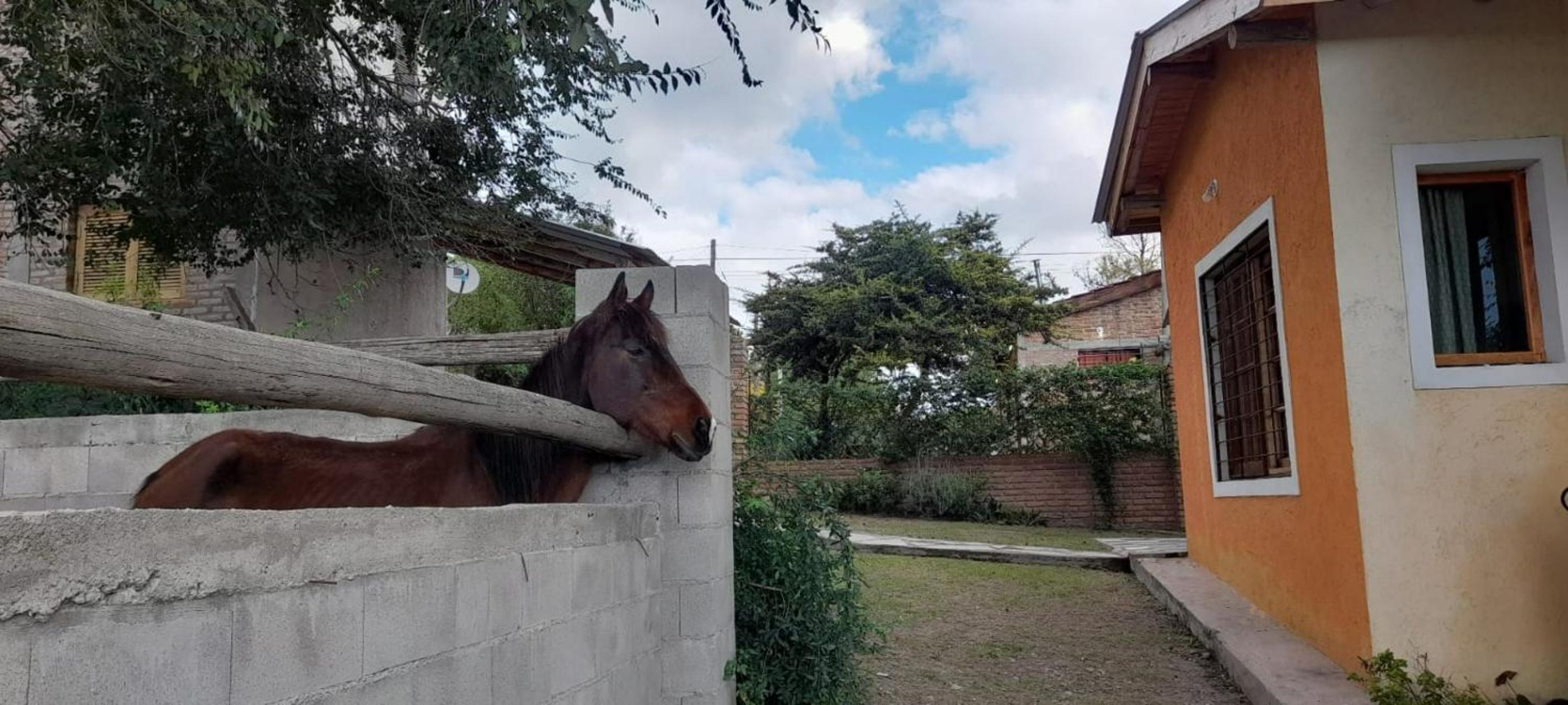 Casas HG-Desayuno sencillo entregado al check in-Pileta normal y climatizada en predio a 5 minutos en auto-Acepta mascotas bajo petición-Cochera para 1 aut