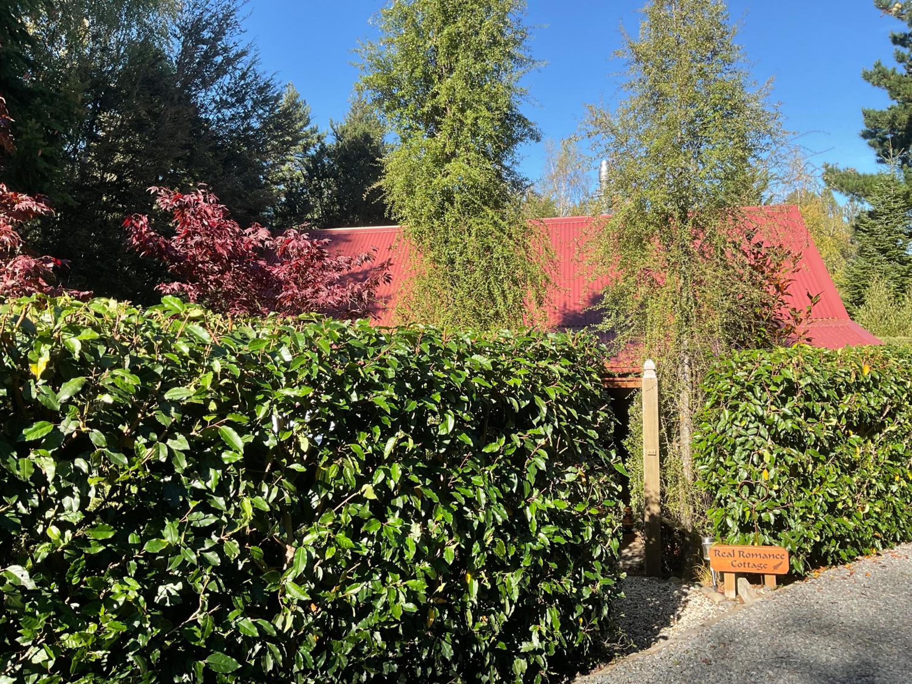 Photo 16