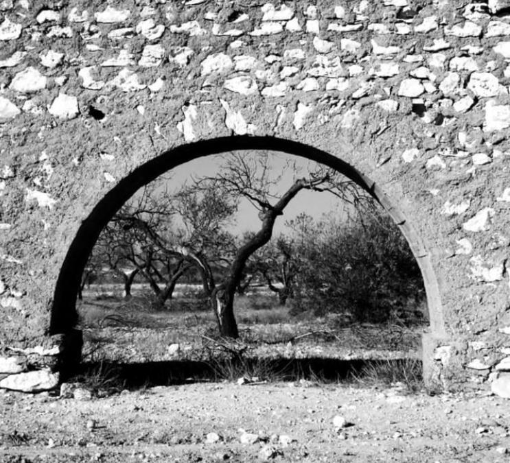Photo 50