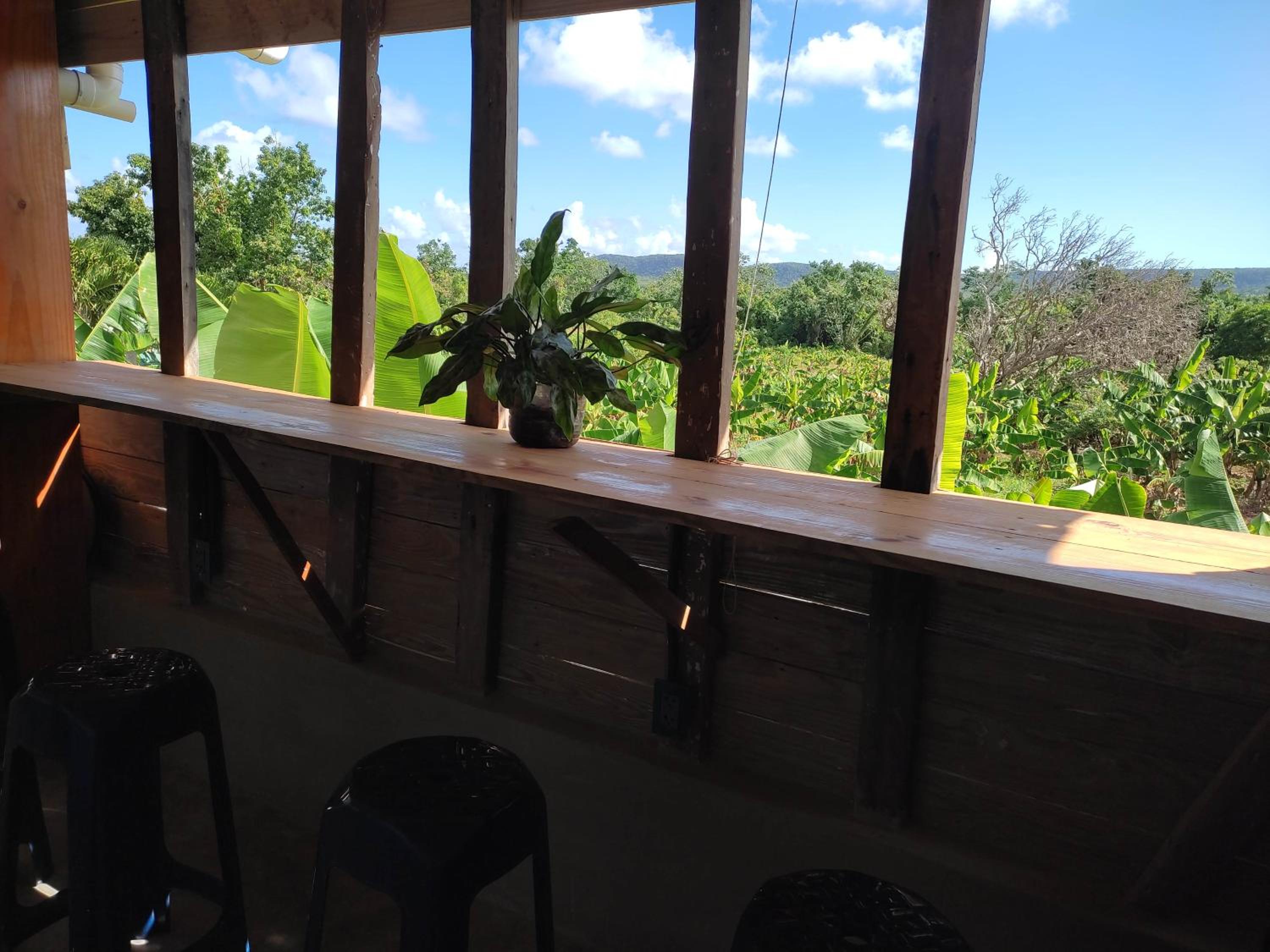 Hostel La Ballena Backpacker