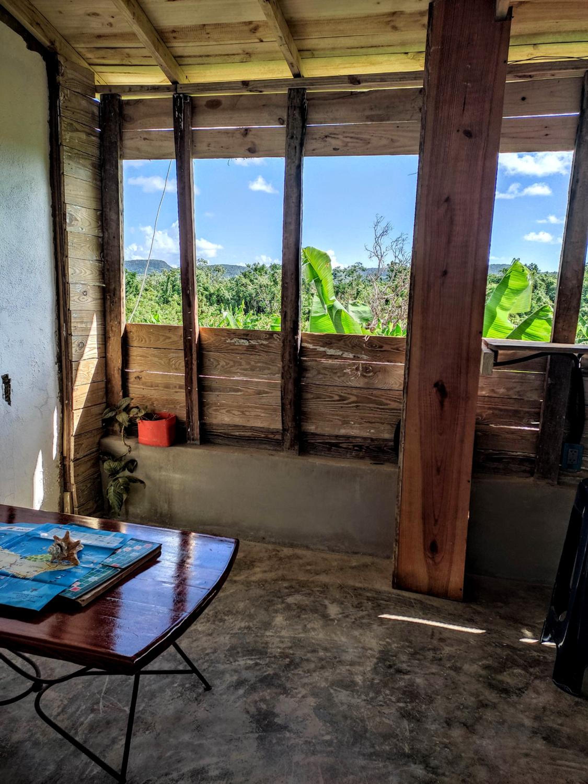 Hostel La Ballena Backpacker