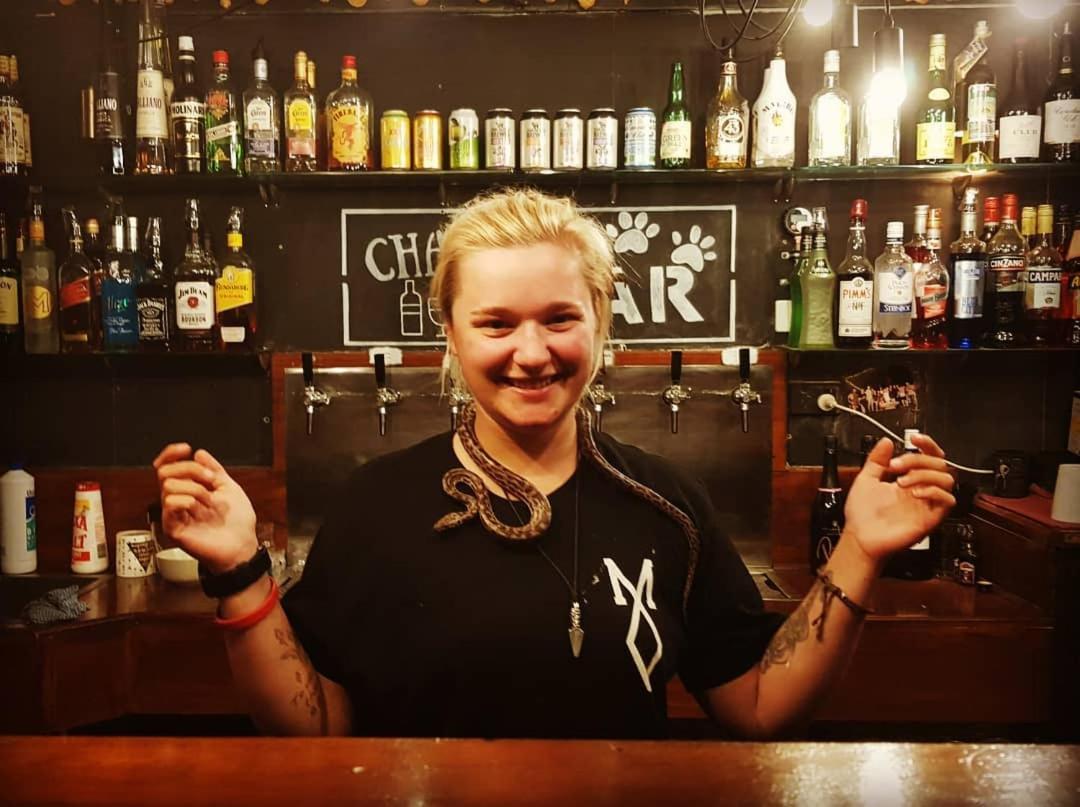 Gladstone Backpackers