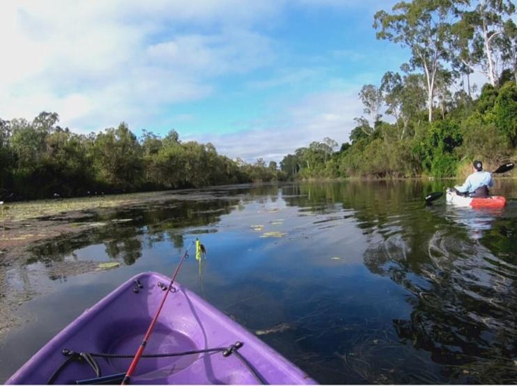 Gladstone Backpackers