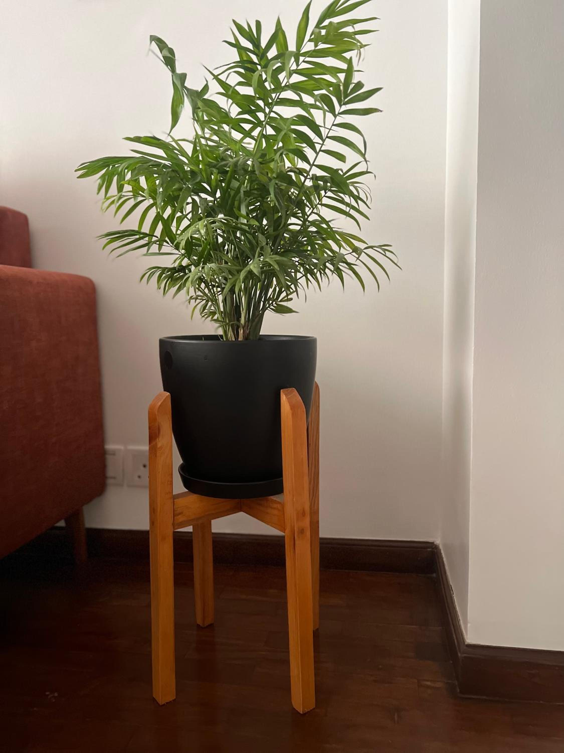 Apartment 6D, Retreat view 3