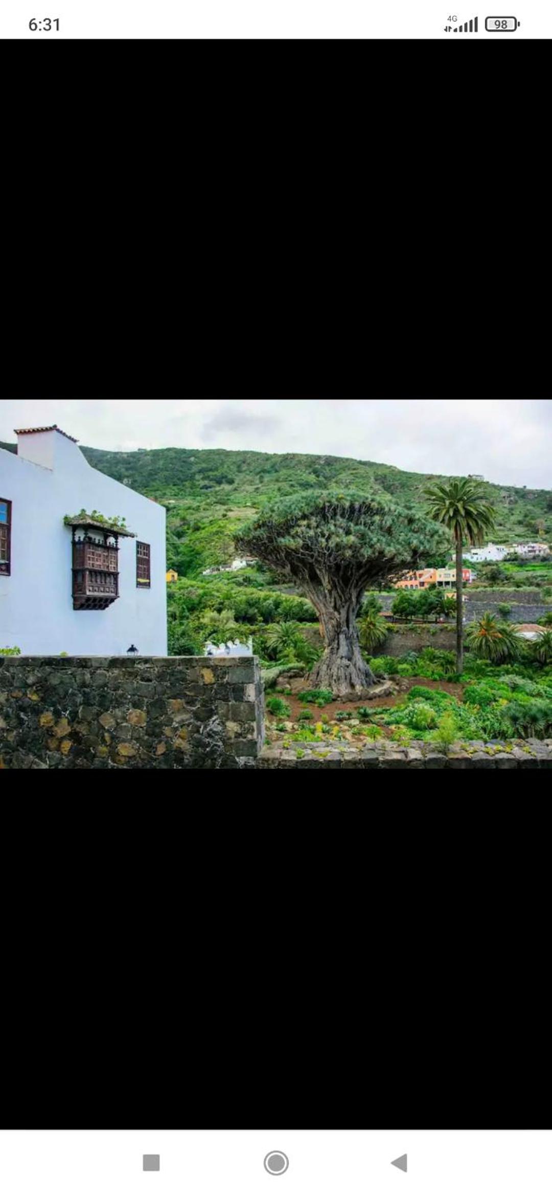 Mireya home