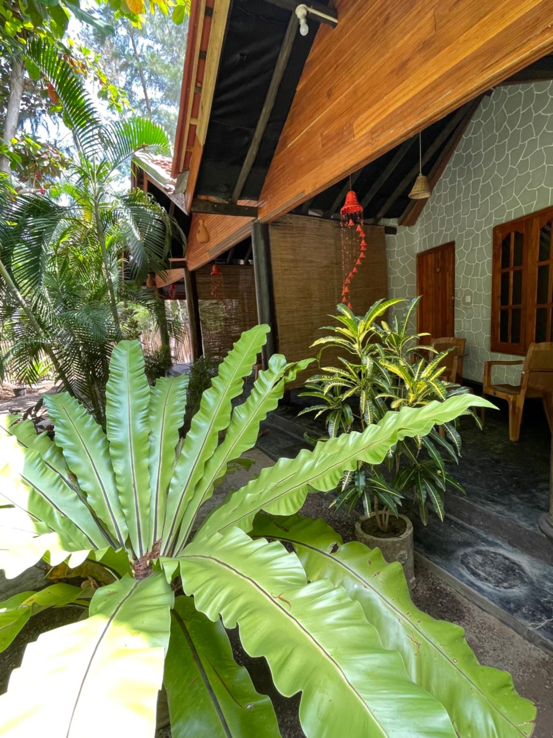 New Roy Guest House