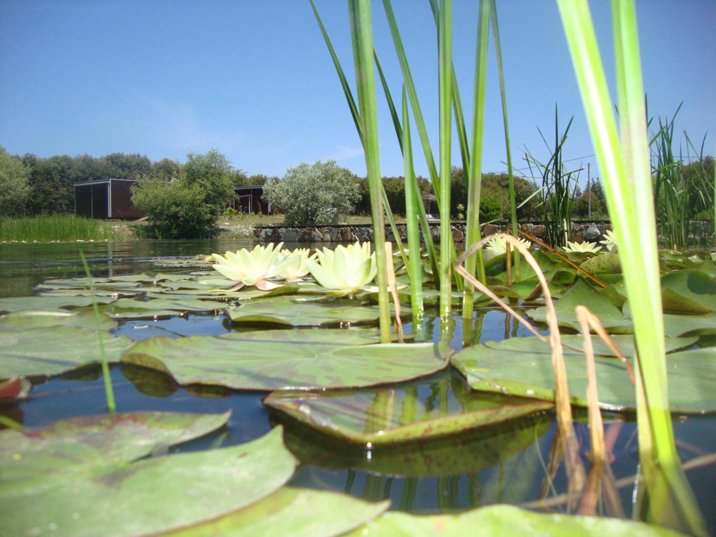 Photo 52