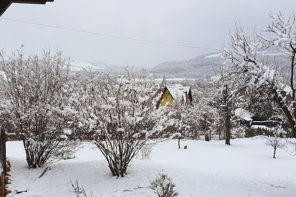 Villa “Nadezhda”