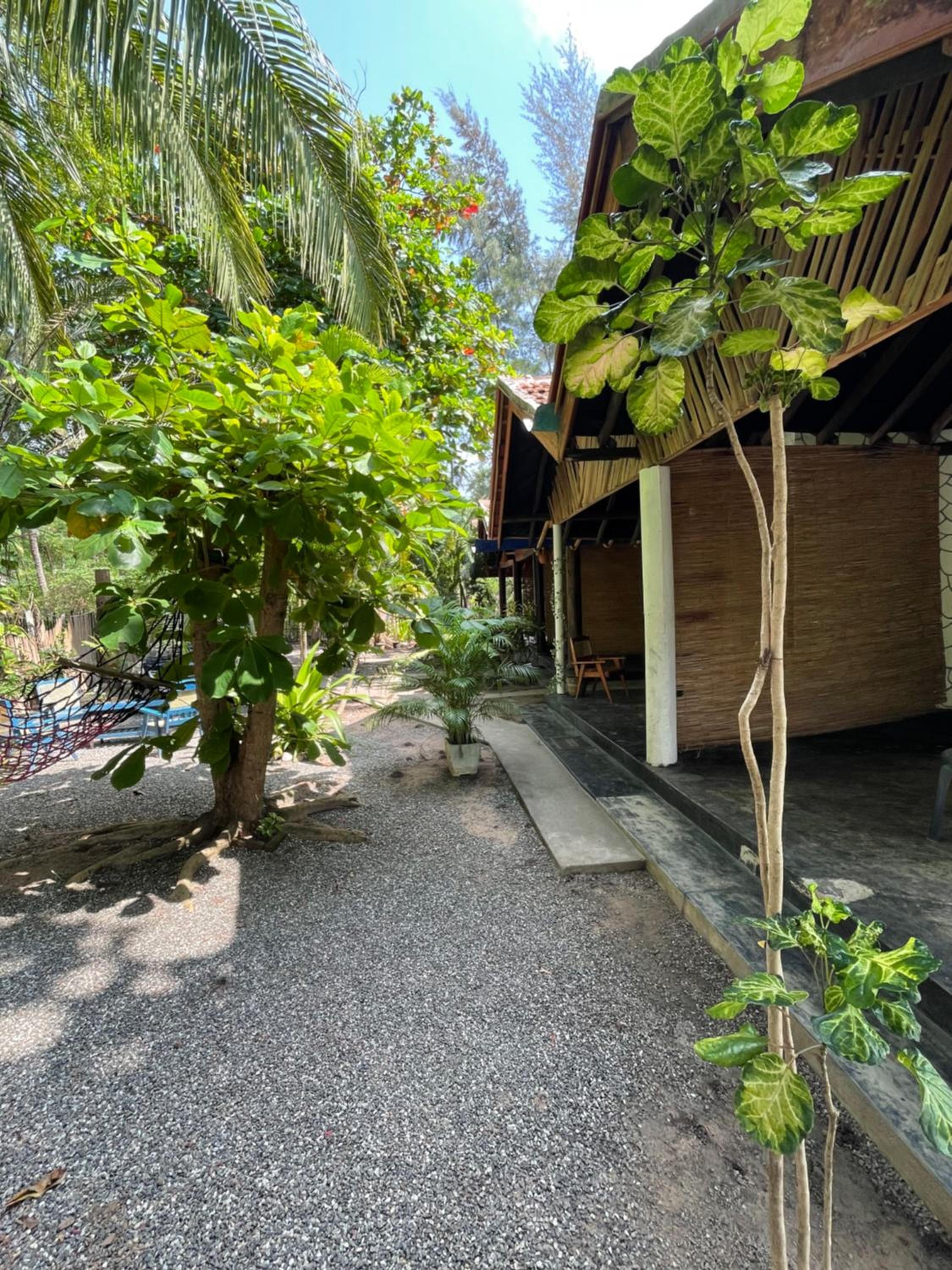 New Roy Guest House