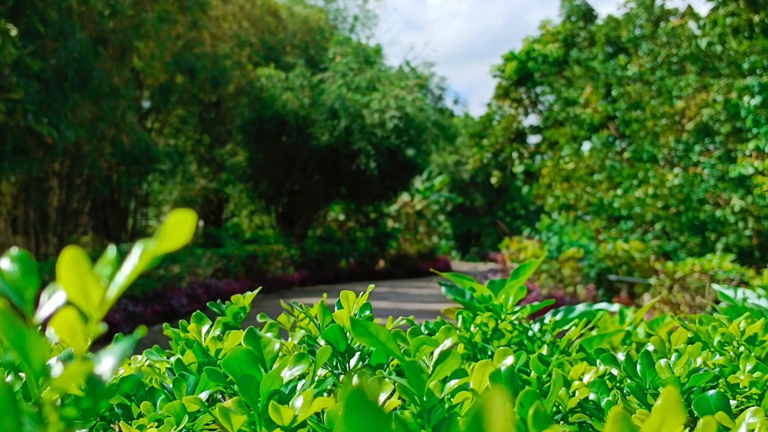 Hue Riverside Boutique Resort & Spa