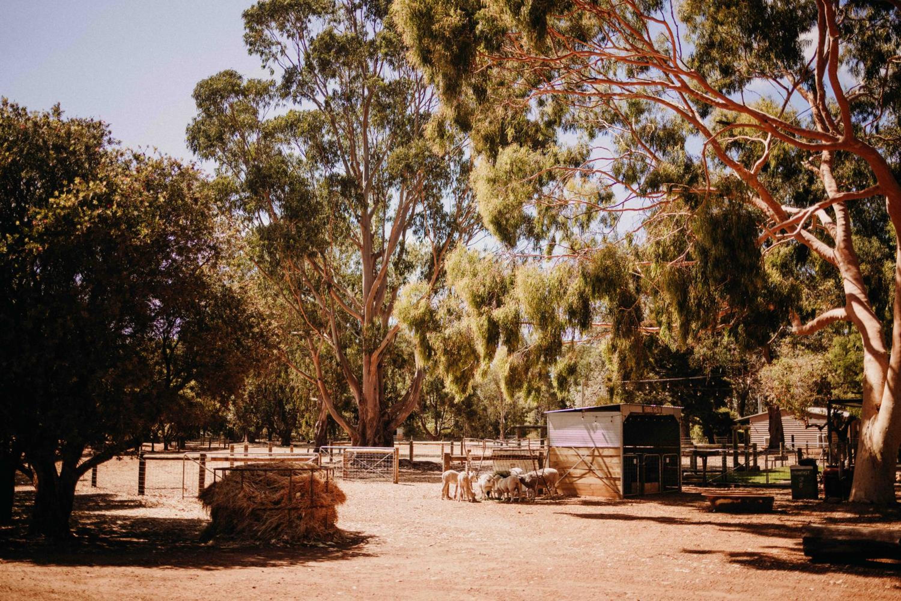 Margaret River Holiday Cottages