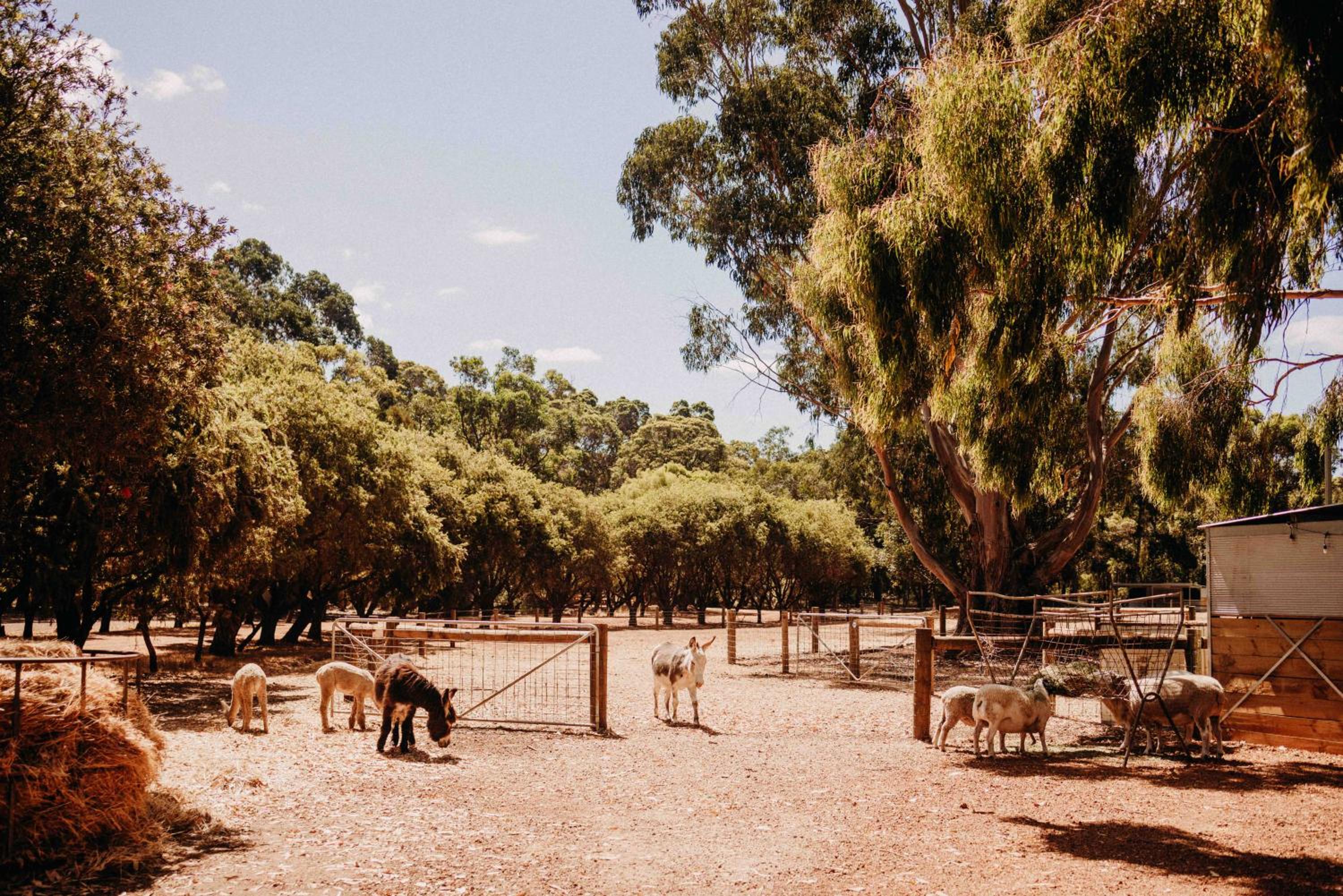 Margaret River Holiday Cottages