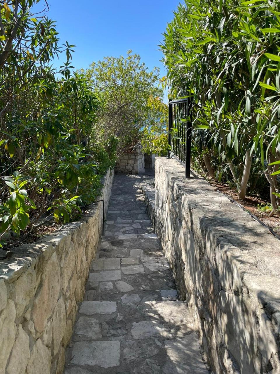 Photo 33