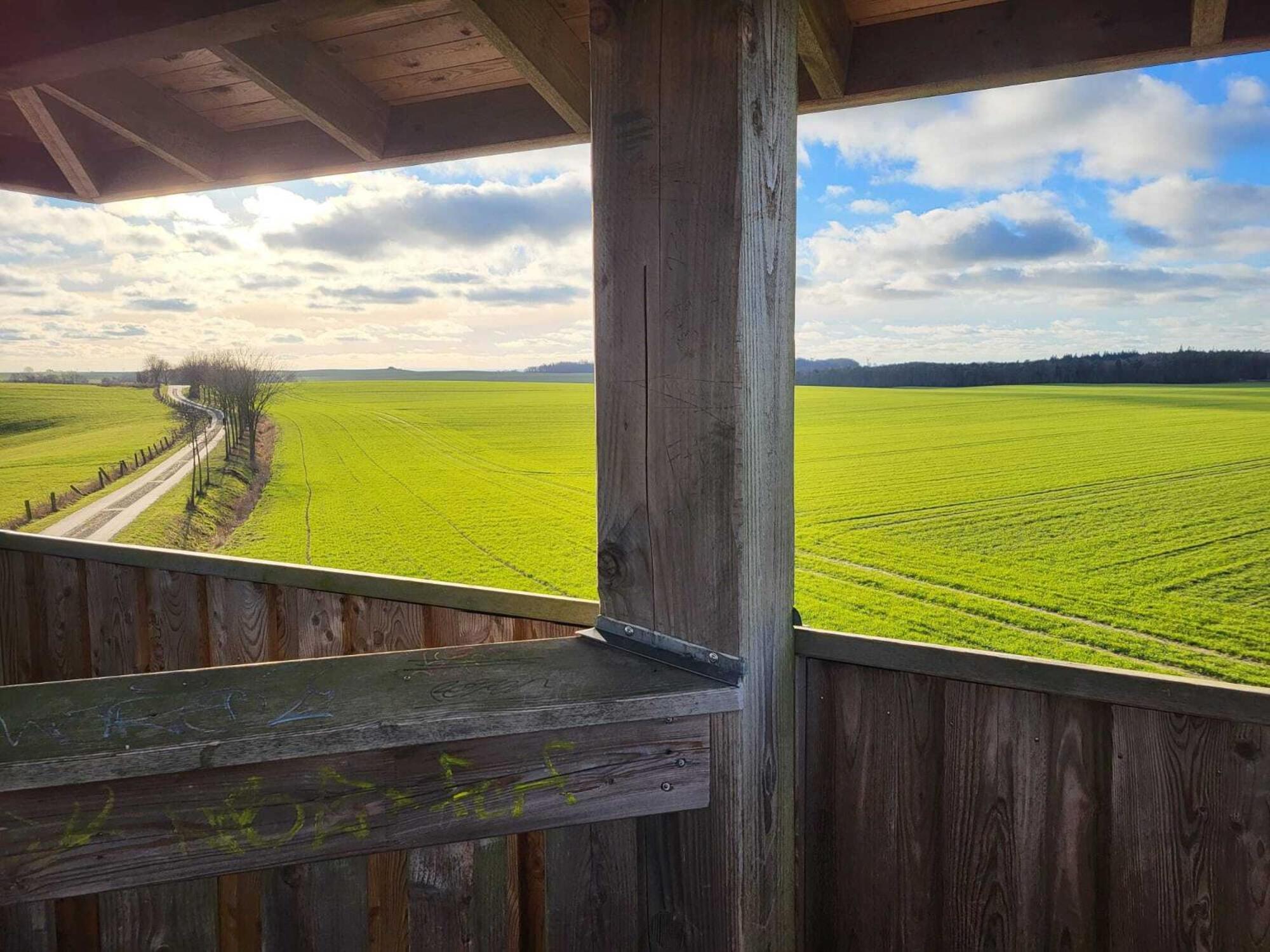 Ferienhaus zum Sonnenblick